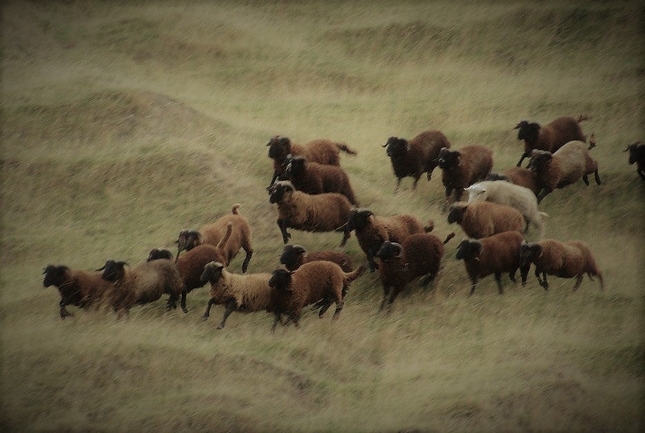 SUSTAINABLE--FABRICS-BOTTOLI